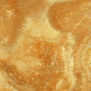 ONYX-10